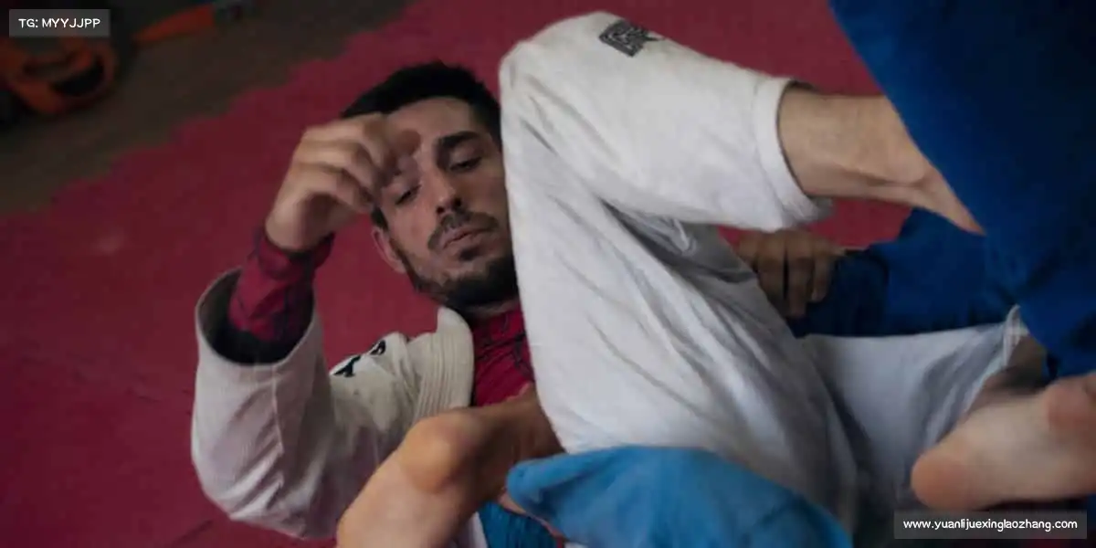 cmp官网——滑板少年,用轮子画出自由!